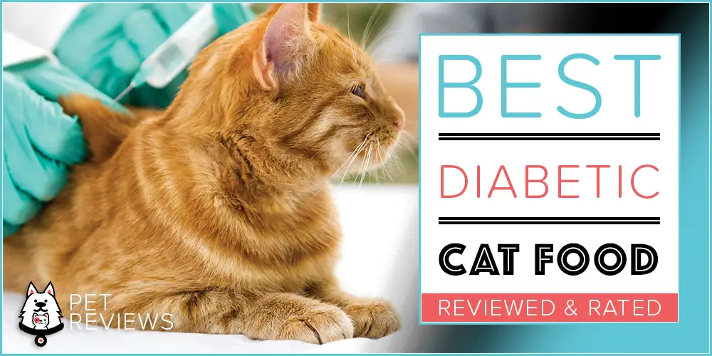 Best Cat Food for Diabetic Cats