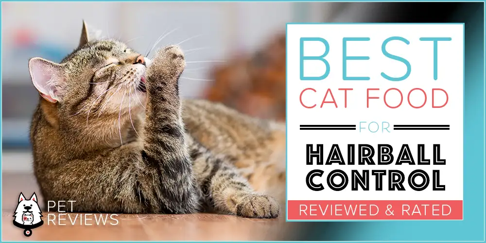 Best Cat Food for Hairball Control