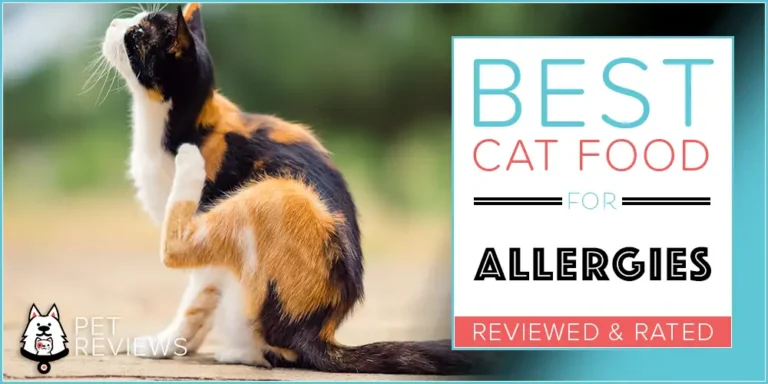 9 Best (Hypoallergenic) Cat Foods for Cats with Allergies in 2023