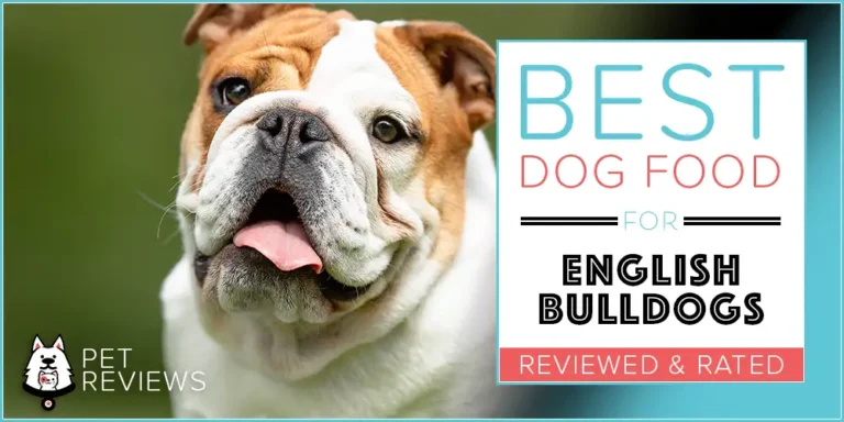 11 Best (Highest Quality) Dog Foods for Bulldogs in 2023