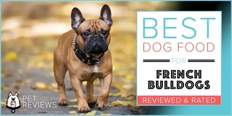 11 Best (Highest Quality) Dog Foods for French Bulldogs in 2023