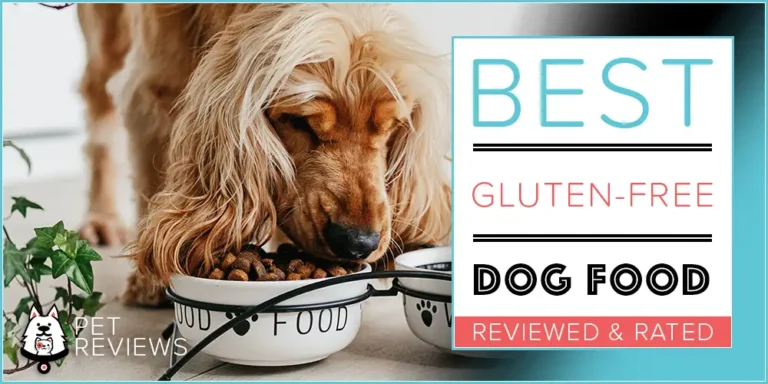 10 Best Gluten Free Dog Foods Brands & Recipes in 2023