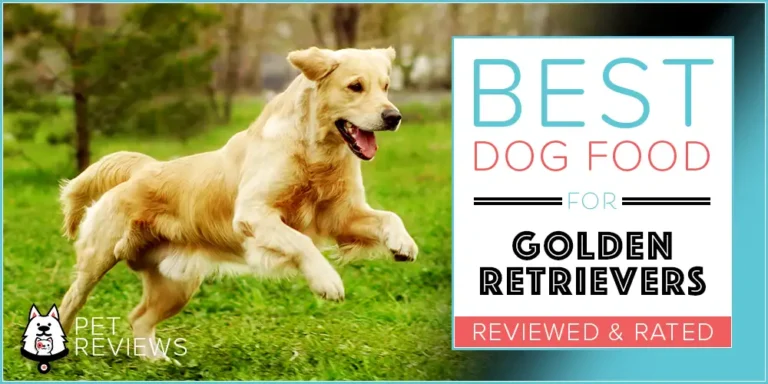 11 Best (Highest Quality) Dog Foods for Golden Retrievers in 2023
