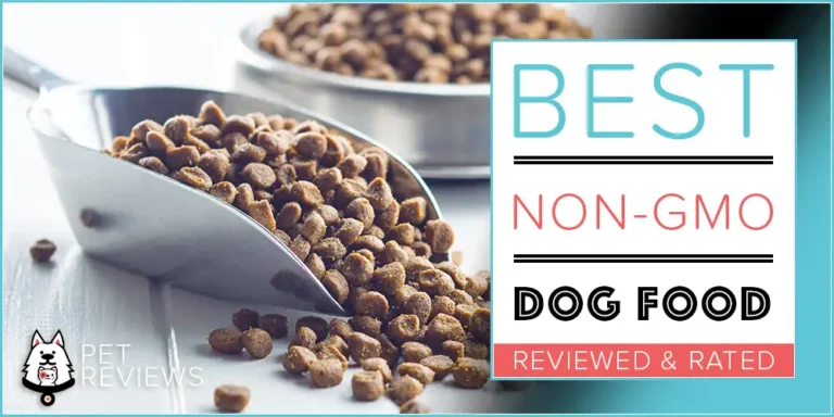 7 Best Non GMO Dog Foods: Our GMO Free Dog Food Guide