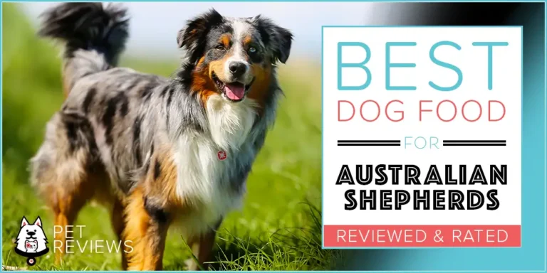 Best Dog Foods for Australian Shepherds 2023 : 11 Healthy Recipes, Reviewed