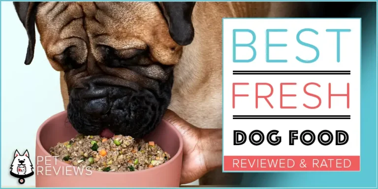 Our 2023 Picks for the Best Fresh and Human-Grade Dog Food Subscriptions