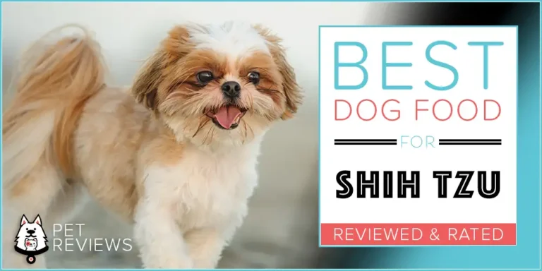 The Best Dog Food for Shih Tzus + Our Informational Feeding Guide