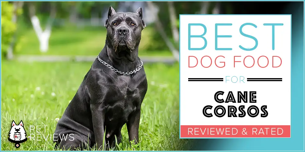 Best Dog Food For Cane Corsos
