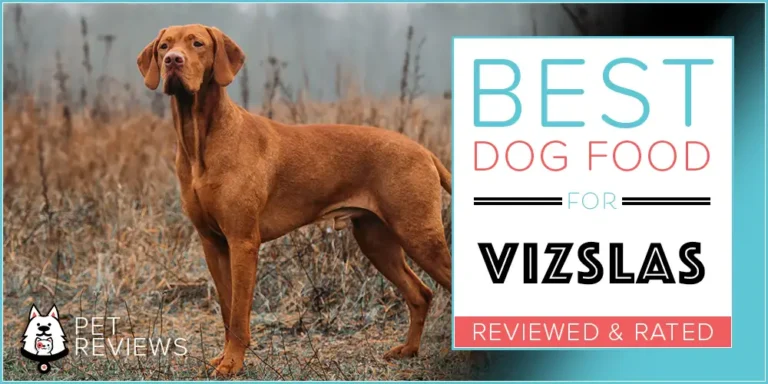 11 Best Dog Foods for Vizslas in 2023 Including The Healthiest and Most Affordable Brands