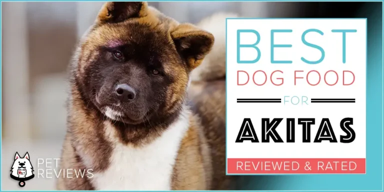 What is the Best Dog Food for Akitas?