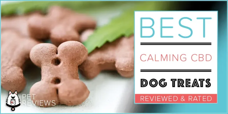 The Best Calming CBD Dog Treats for Anxiety and Fear