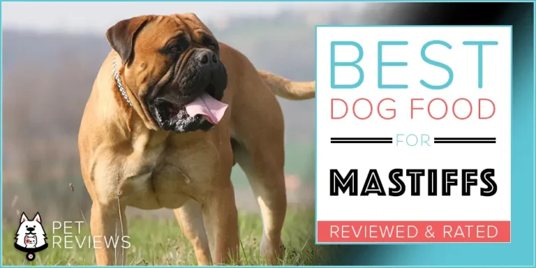 What Is the Best Dog Food for Mastiffs?