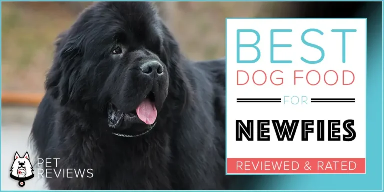 What is the Best Dog Food for Newfoundlands?